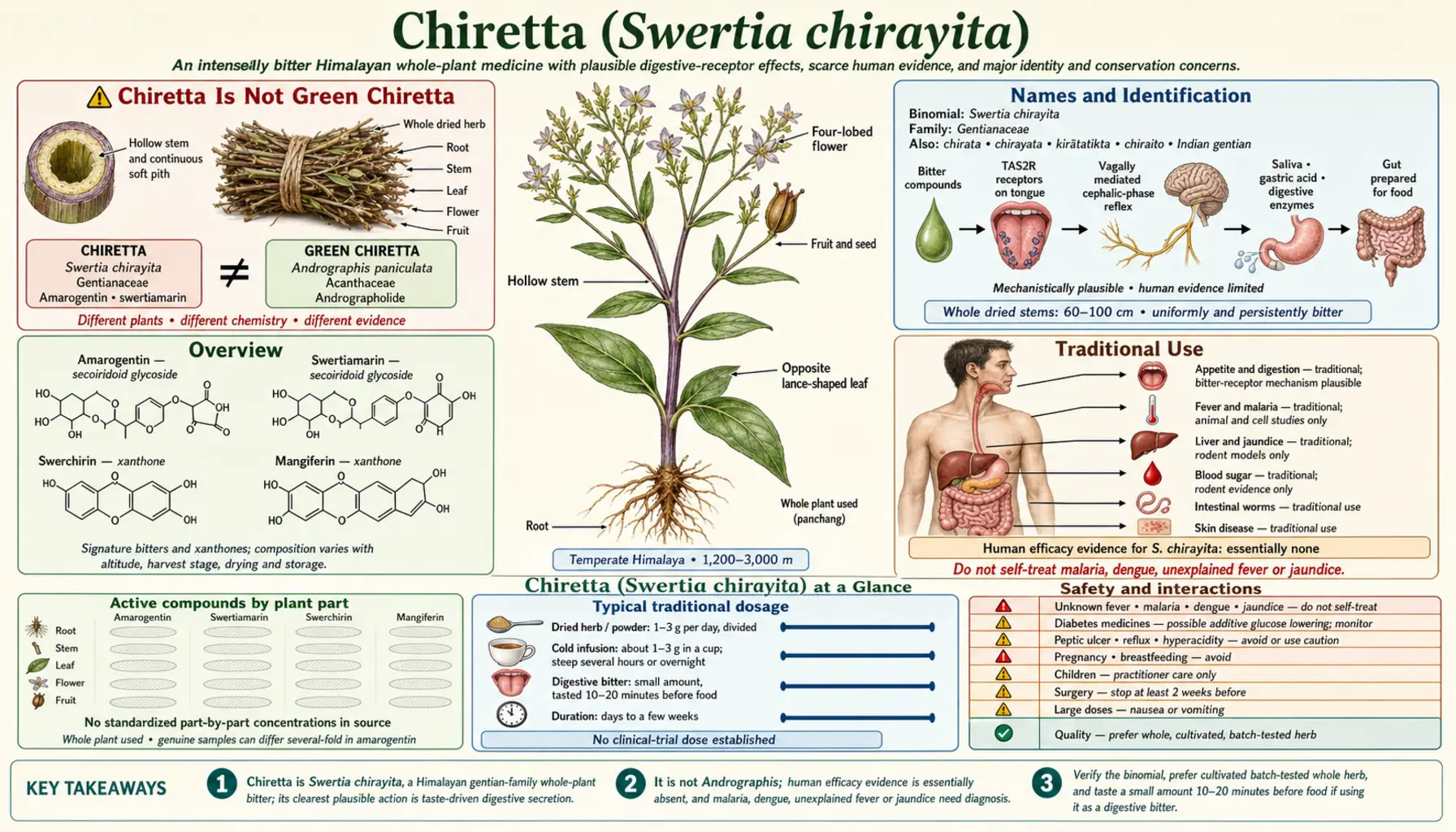 Chiretta — scientific infographic poster