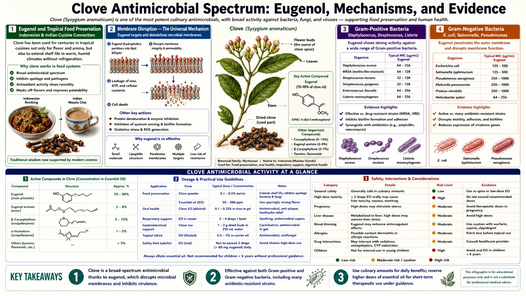 Antimicrobial Spectrum — scientific infographic poster