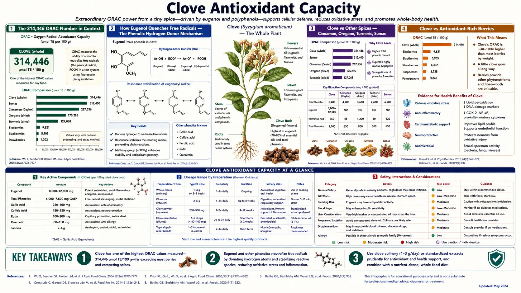 Antioxidant Capacity — scientific infographic poster