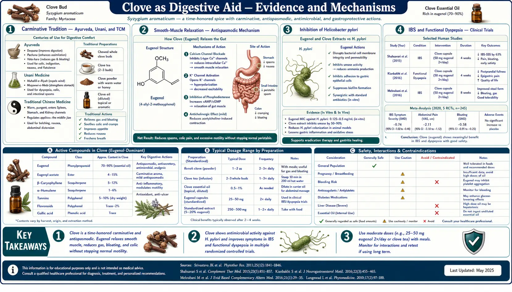 Digestive Aid — scientific infographic poster