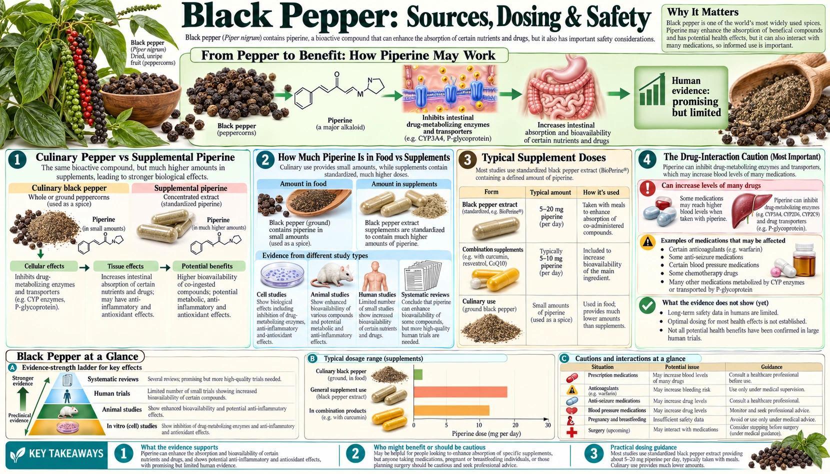 Sources and Safety — scientific infographic poster
