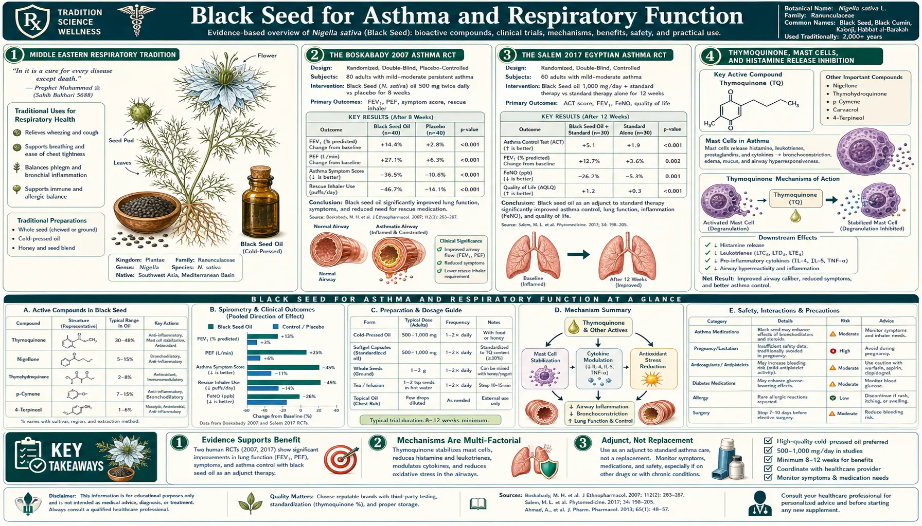 Asthma and Respiratory — scientific infographic poster