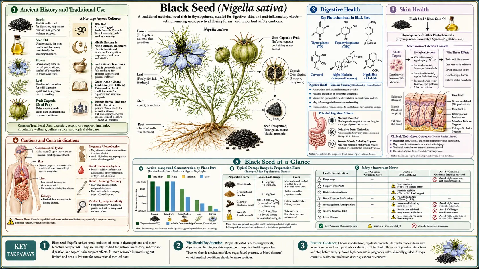 Black Seed — scientific infographic poster