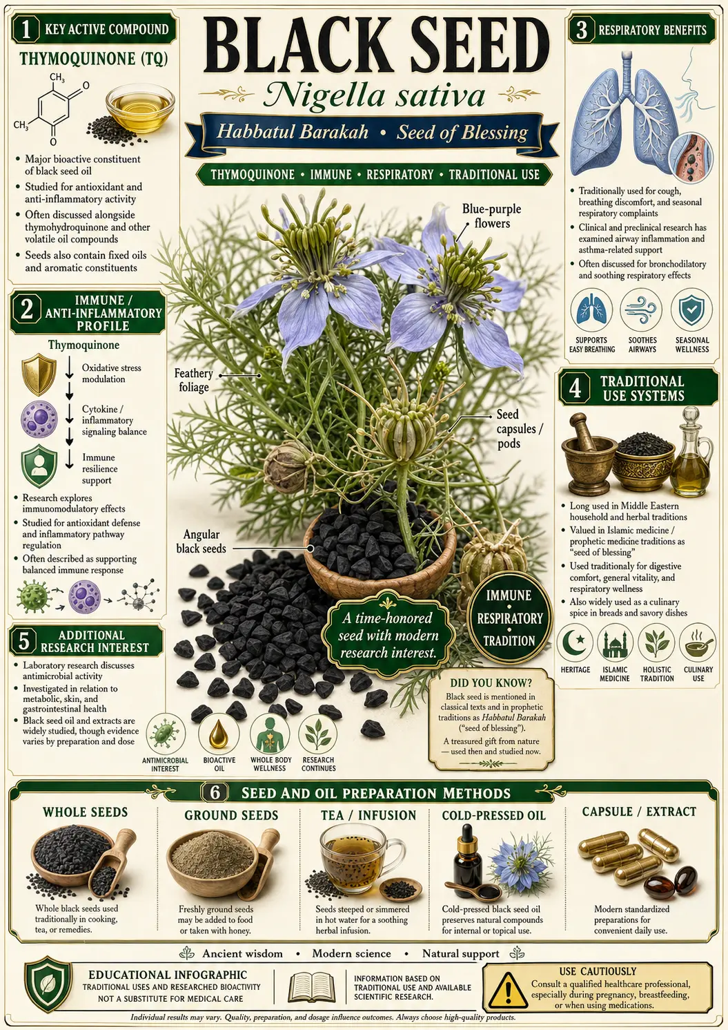 Black Seed (Nigella sativa)
