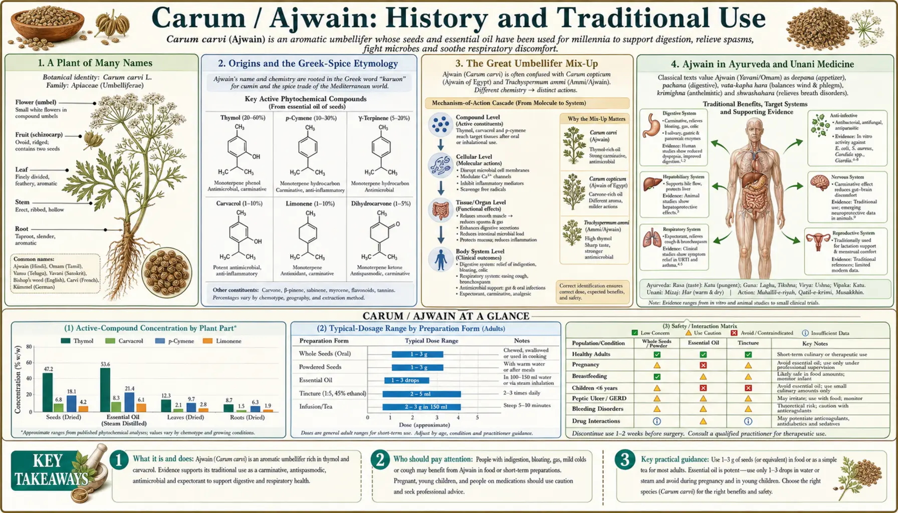 History — scientific infographic poster