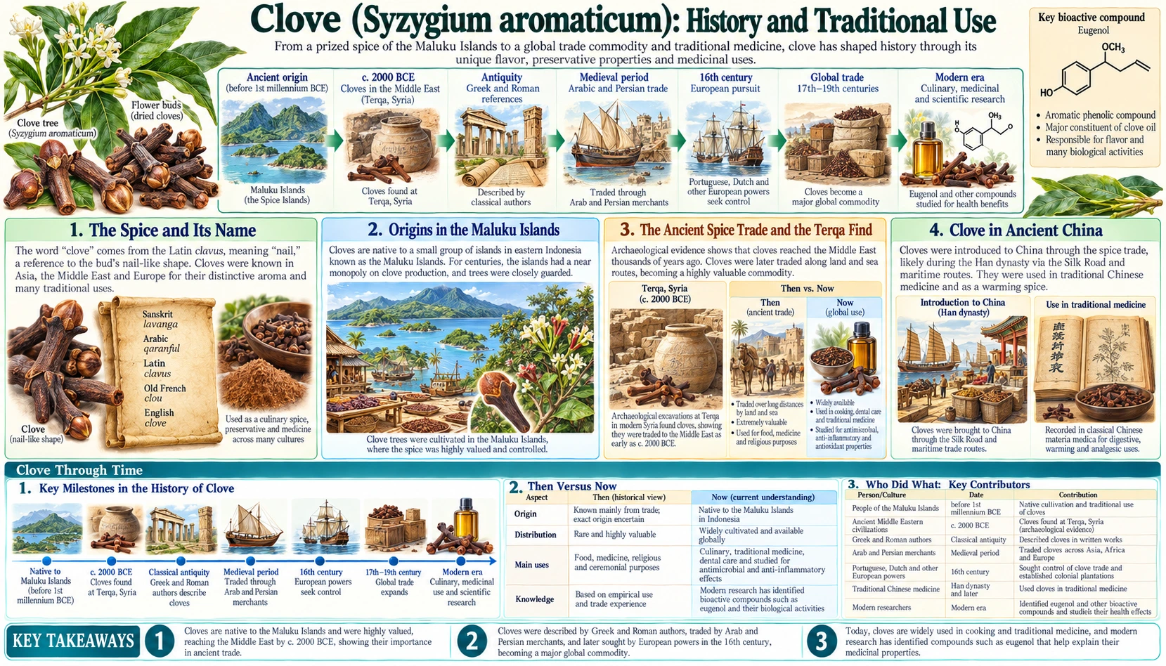 History — scientific infographic poster