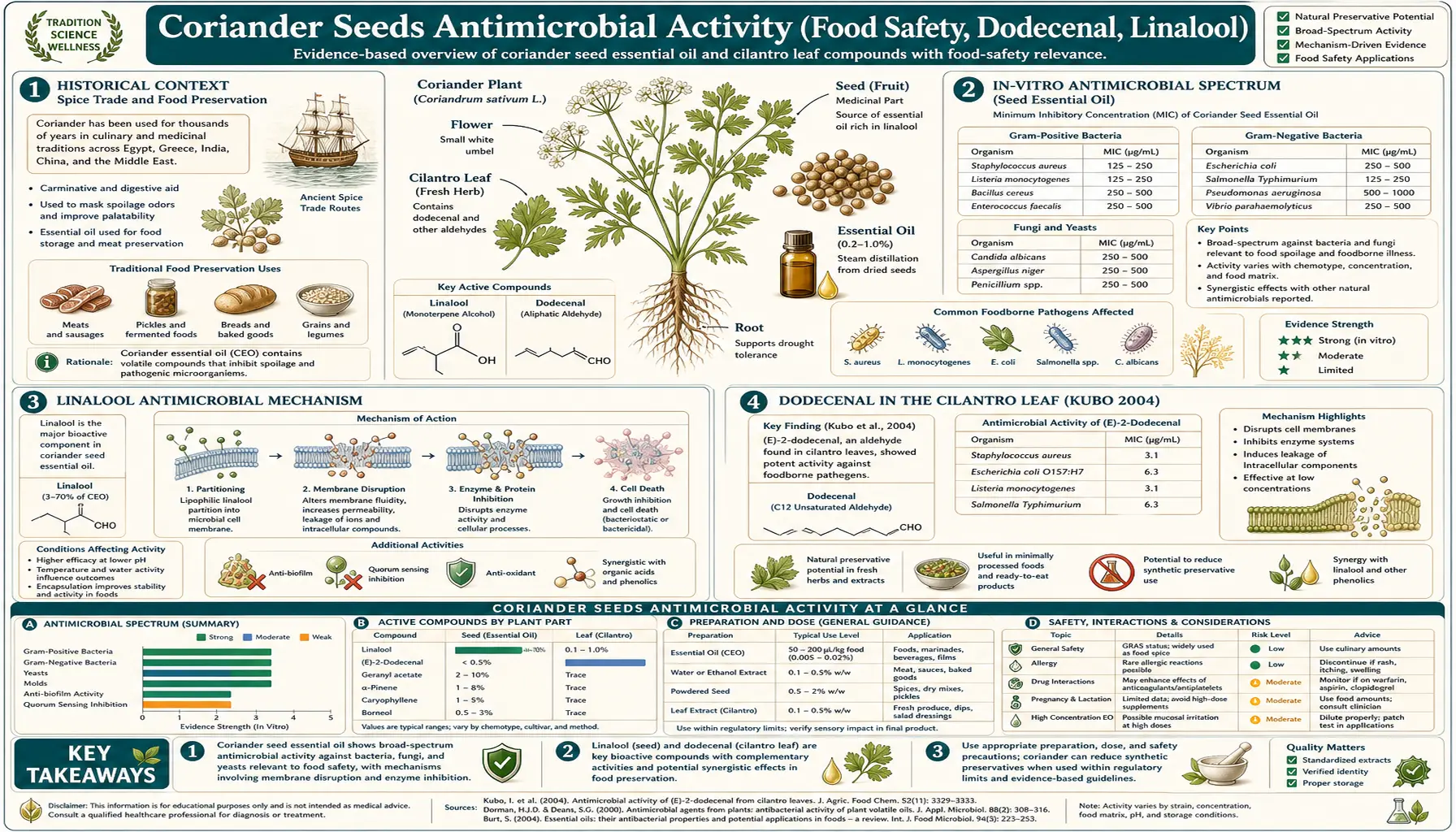 Antimicrobial — scientific infographic poster