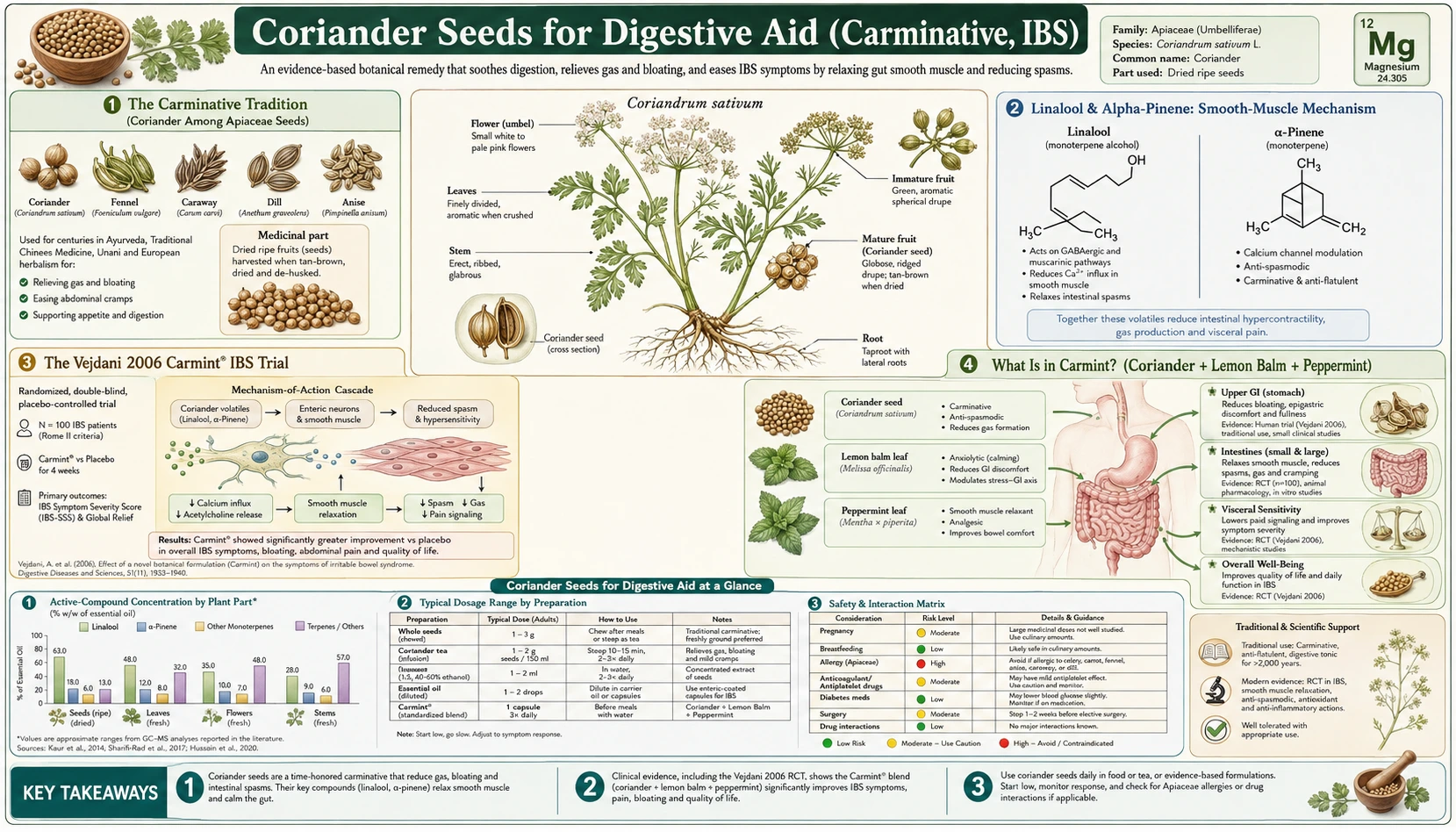 Digestive Aid — scientific infographic poster