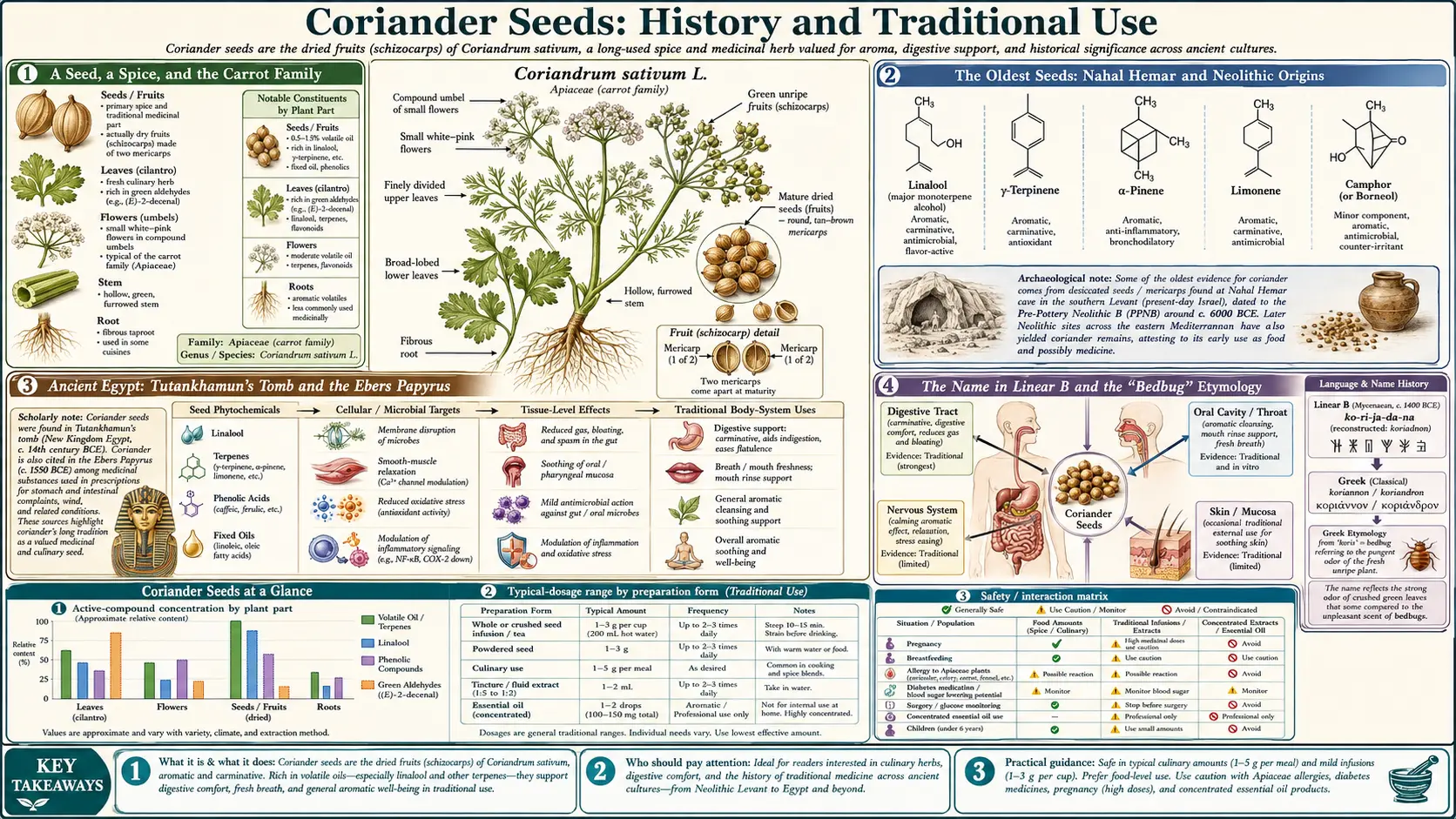 History — scientific infographic poster