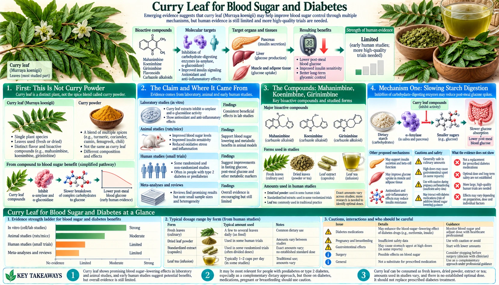 Blood Sugar and Diabetes — scientific infographic poster