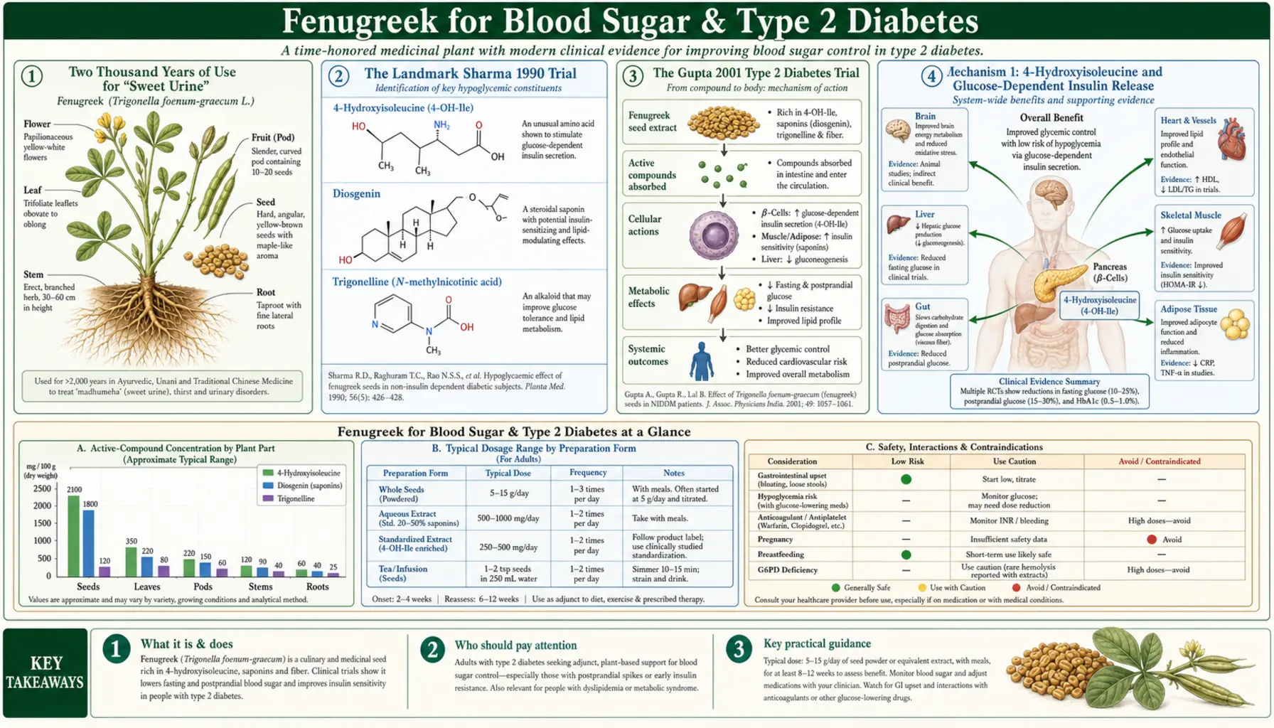 Blood Sugar — scientific infographic poster