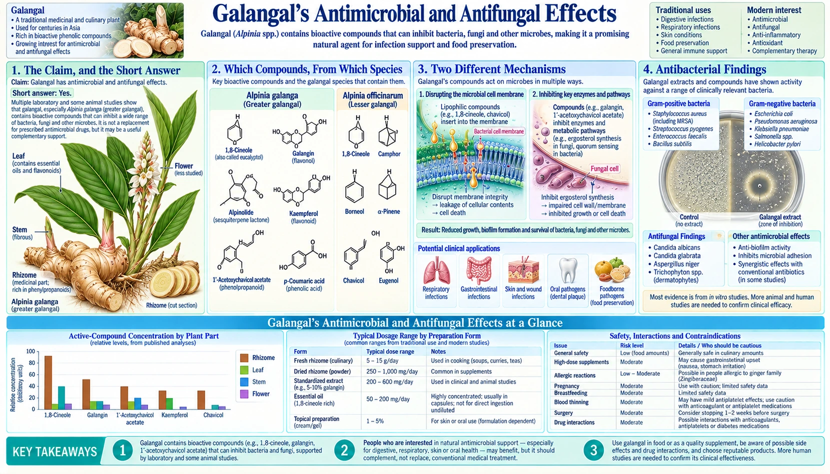 Antimicrobial Effects — scientific infographic poster