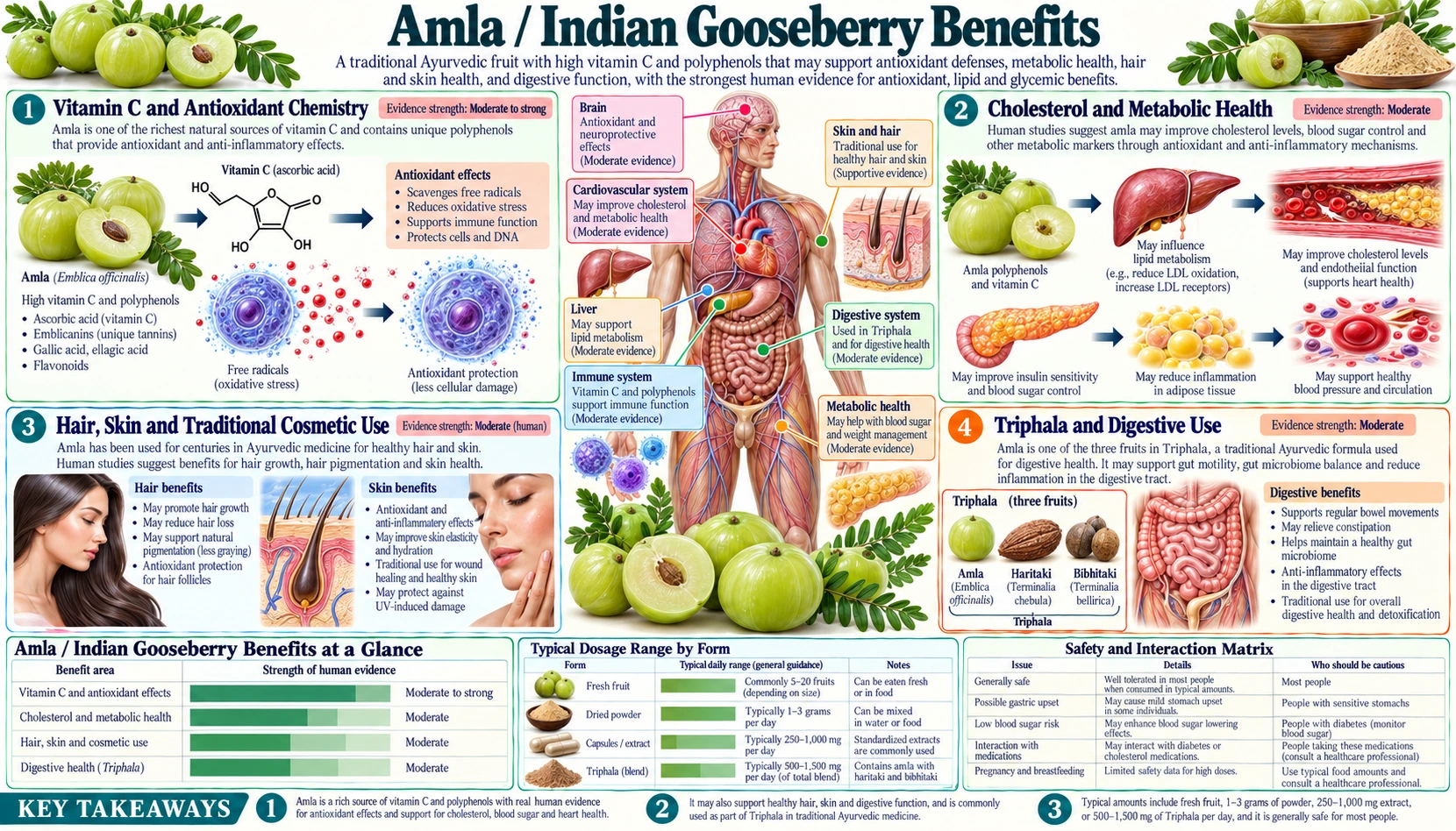 Digestive Health and Nausea — scientific infographic poster