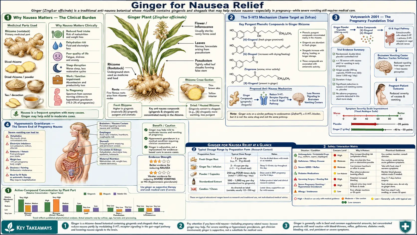 Nausea Relief — scientific infographic poster