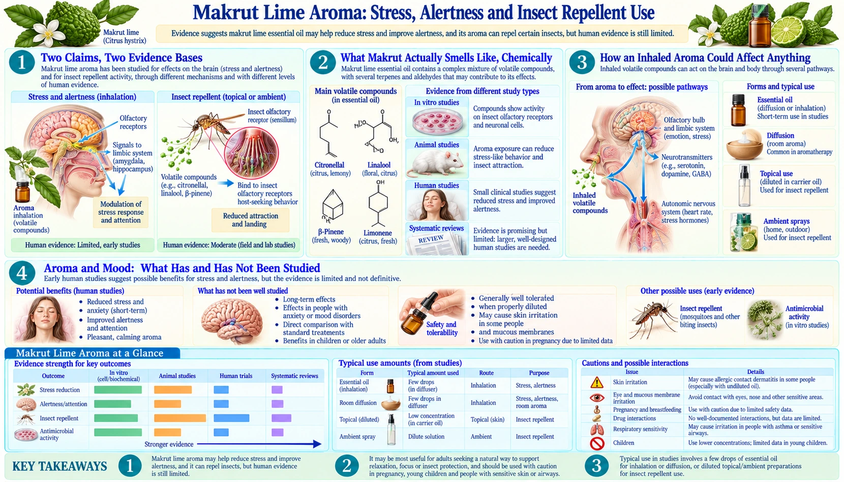 Aroma Stress and Insect Repellent — scientific infographic poster