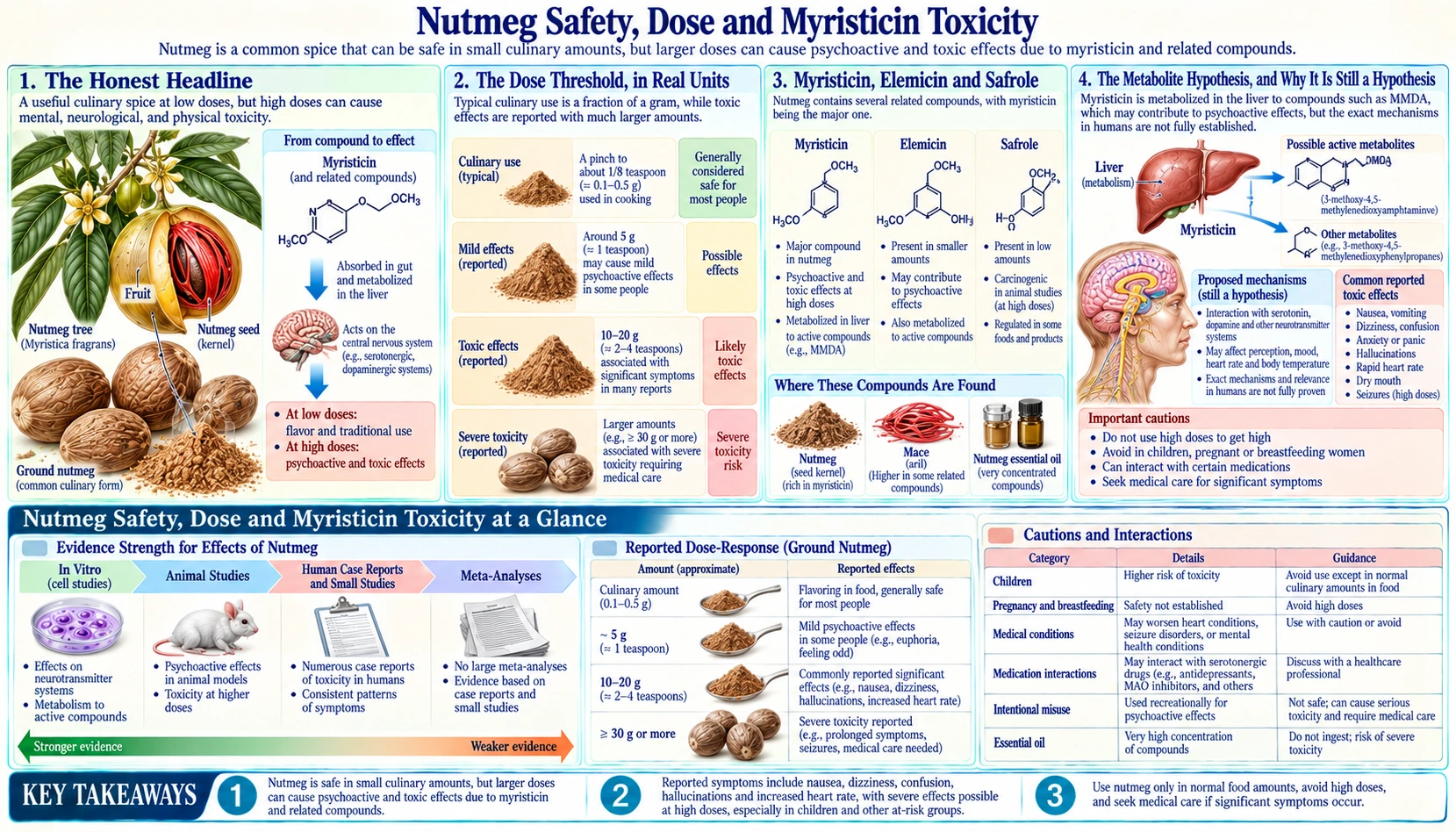 Safety Dose and Myristicin — scientific infographic poster