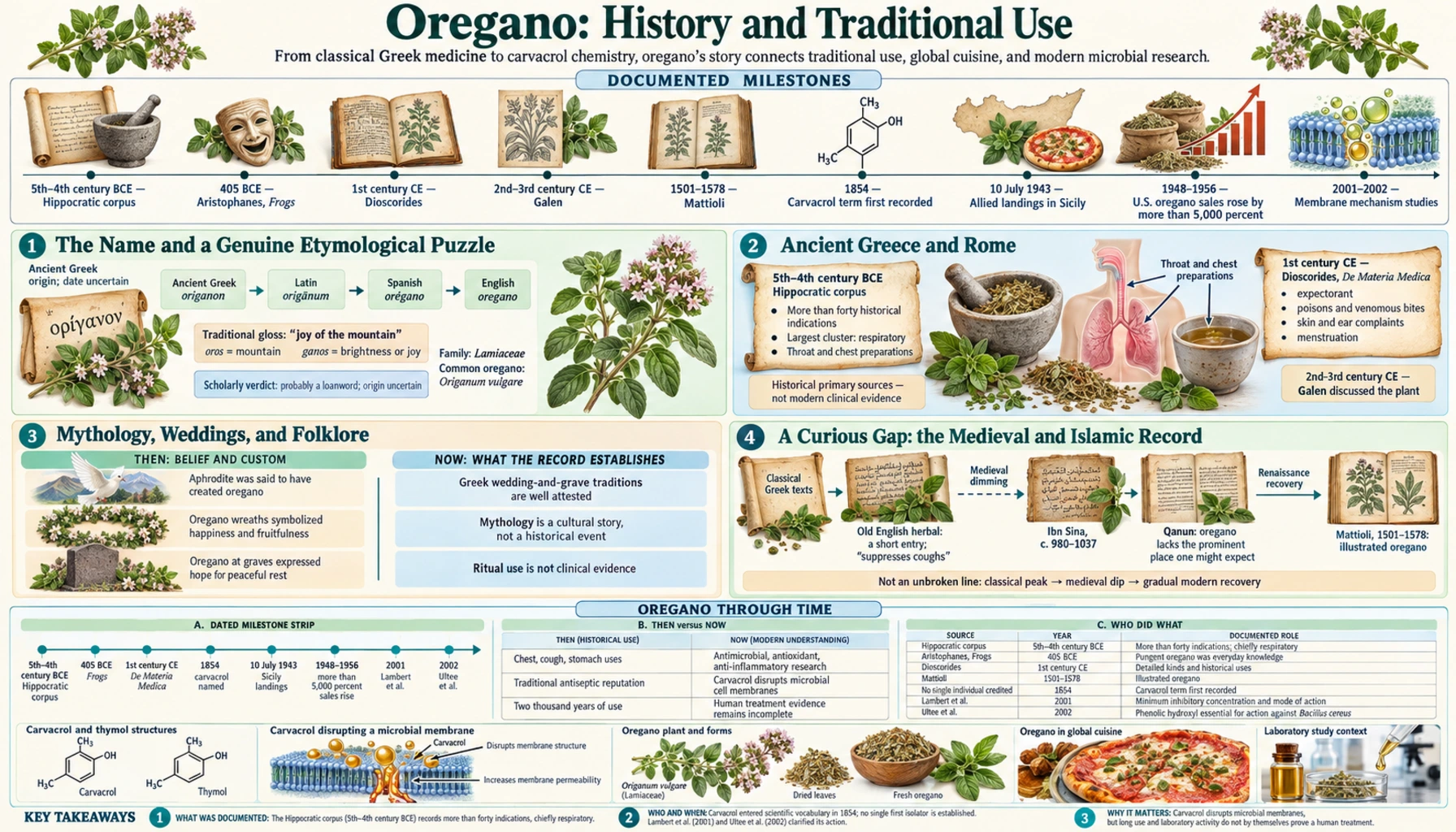 History — scientific infographic poster