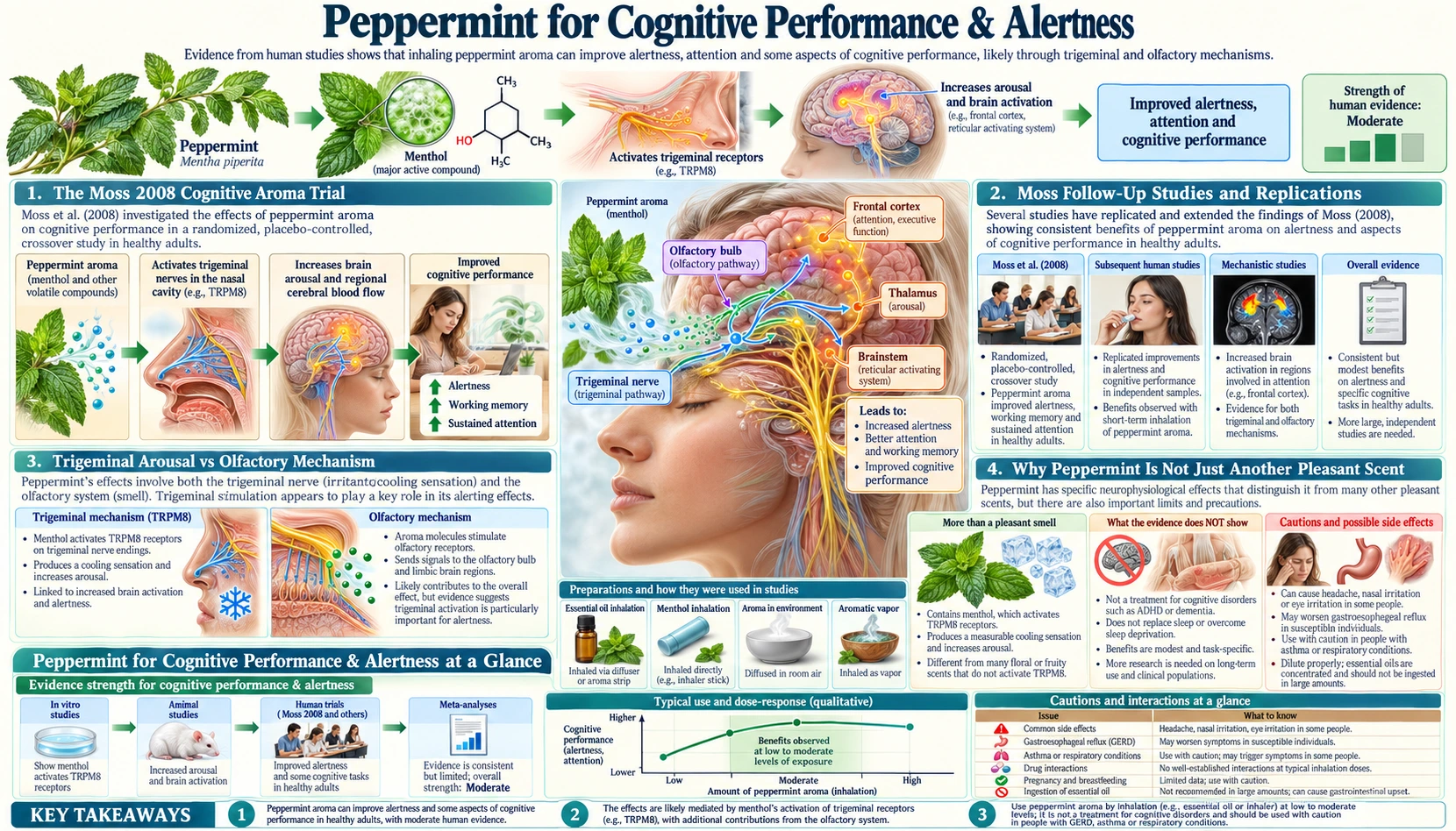 Cognitive and Alertness — scientific infographic poster