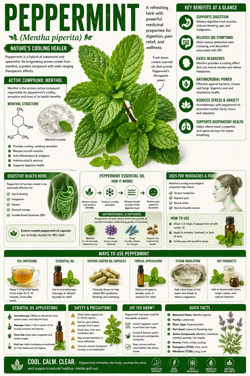 Peppermint (Mentha &times; piperita)