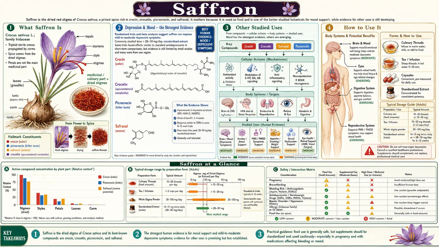 Saffron — scientific infographic poster