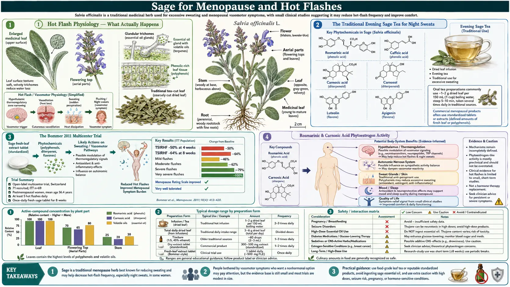 Menopause and Hot Flashes — scientific infographic poster