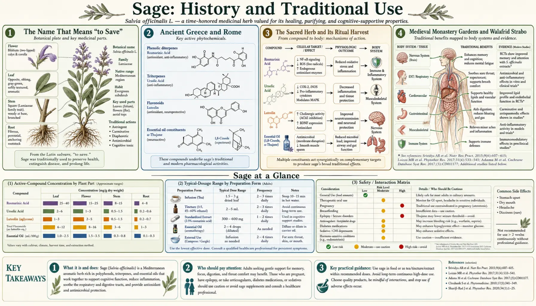 History — scientific infographic poster