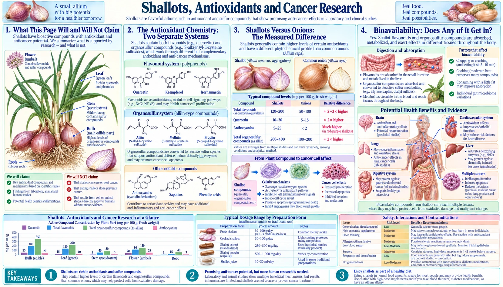 Antioxidants and Cancer Research — scientific infographic poster