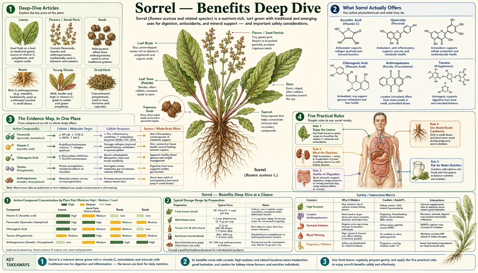 Benefits — scientific infographic poster