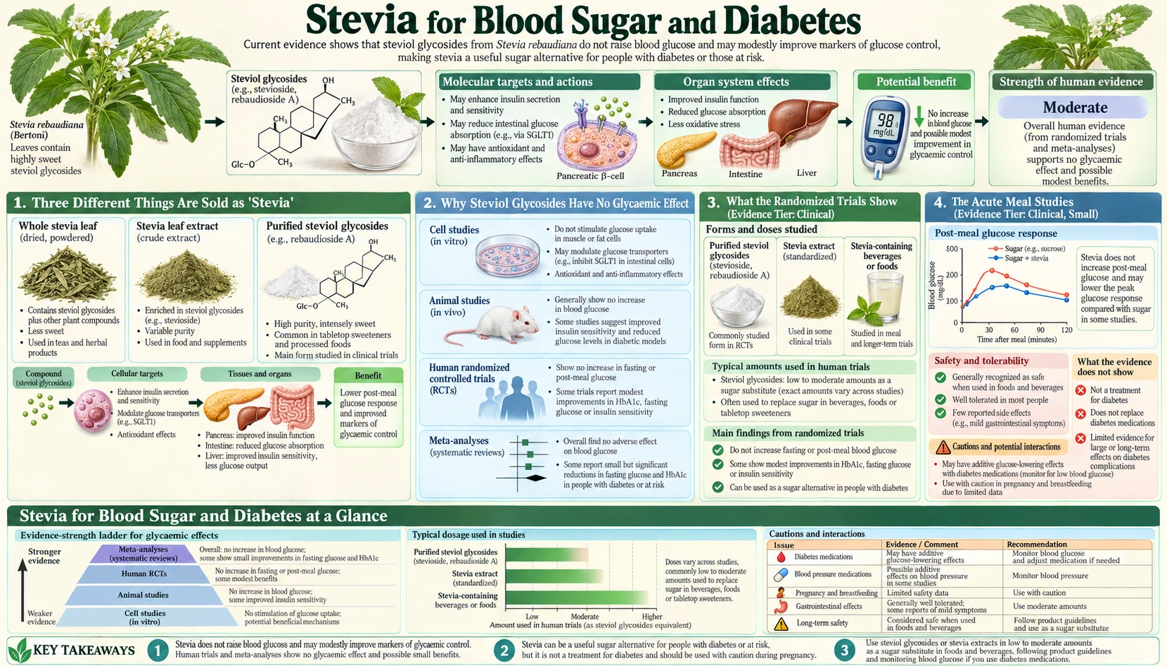 Blood Sugar and Diabetes — scientific infographic poster