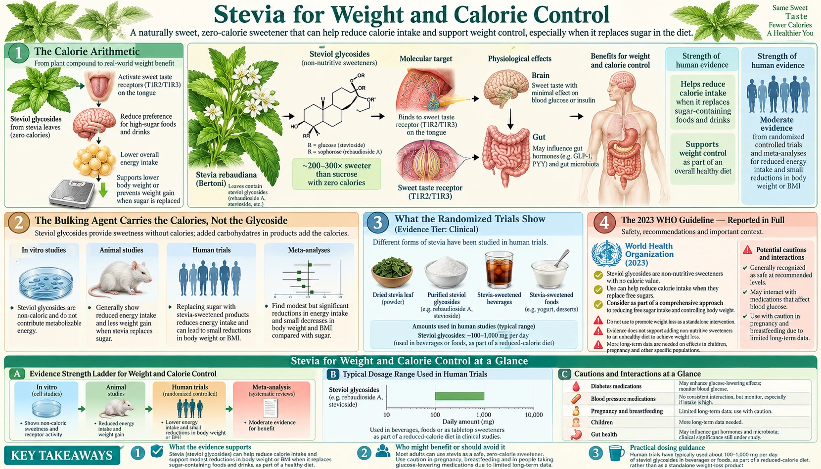 Weight and Calorie Control — scientific infographic poster