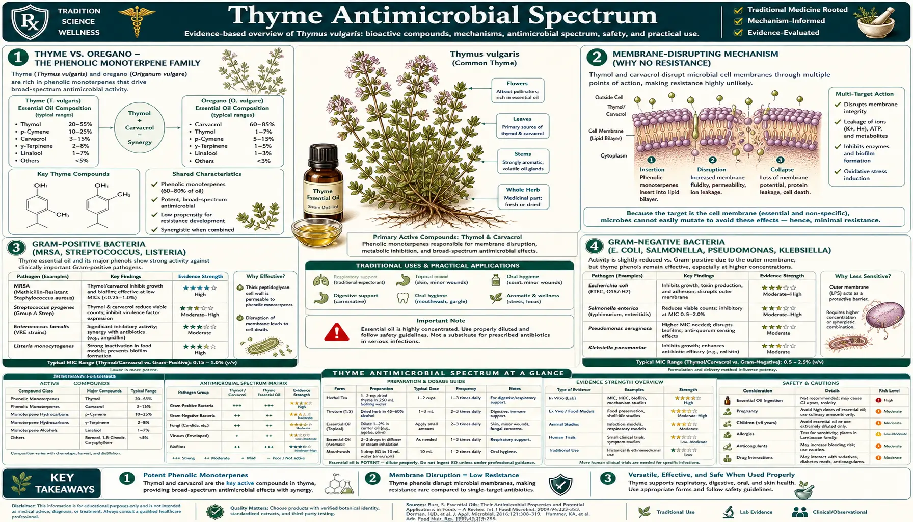 Antimicrobial Spectrum — scientific infographic poster