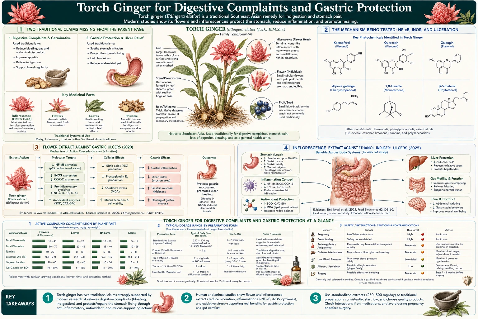 Digestive Complaints and Gastric Protection — scientific infographic poster