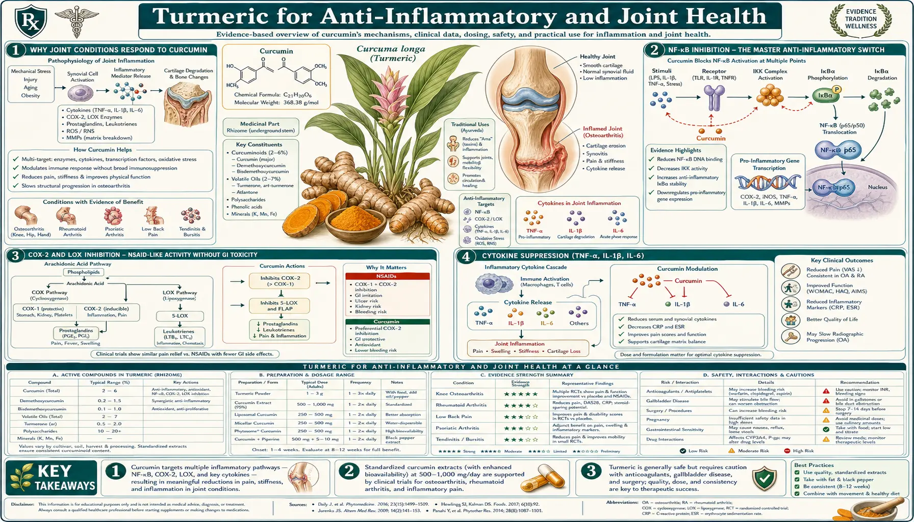 Anti Inflammatory and Joint Health — scientific infographic poster