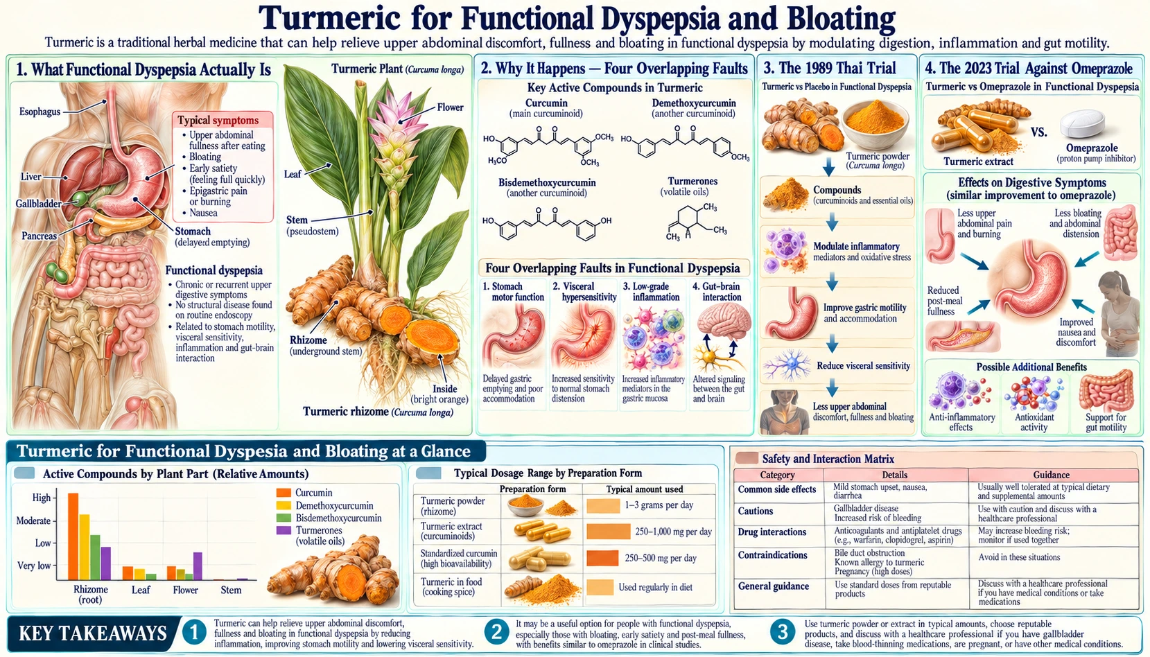 Functional Dyspepsia and Bloating — scientific infographic poster