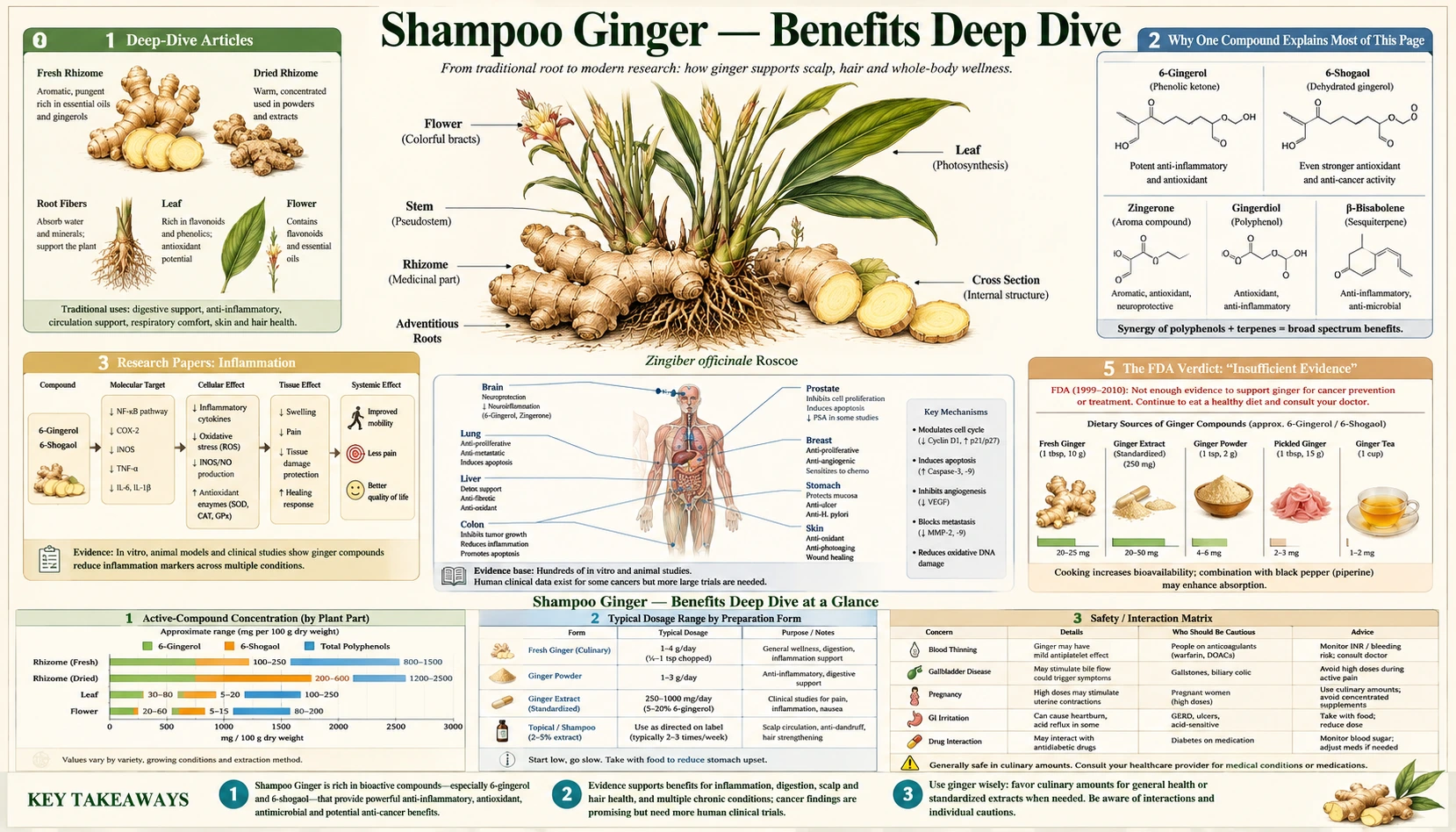 Benefits — scientific infographic poster
