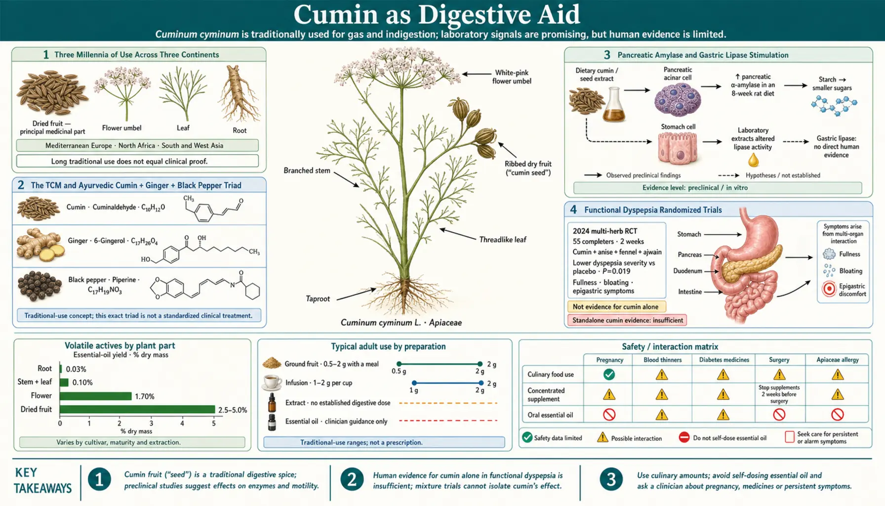 Digestive Aid — scientific infographic poster