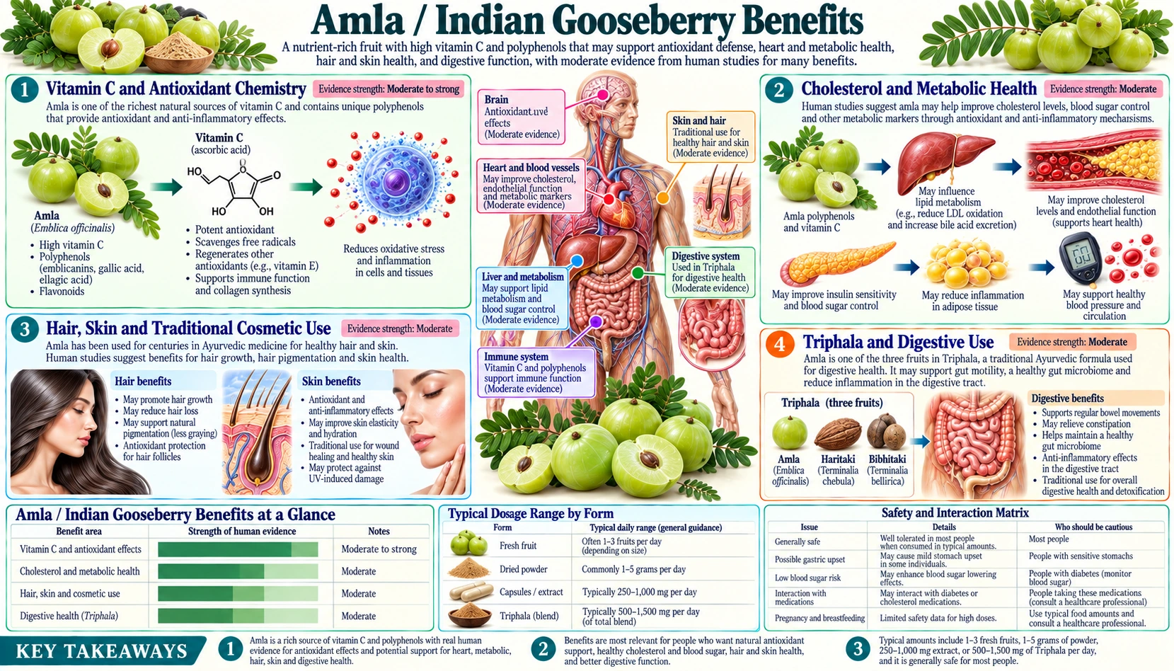 Benefits — scientific infographic poster