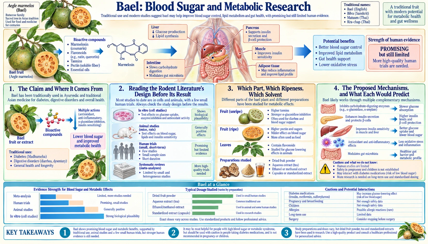 Blood Sugar and Metabolic Research — scientific infographic poster