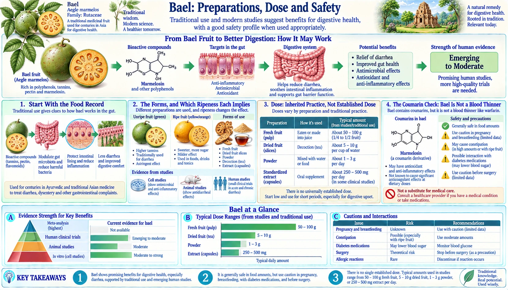 Dose Preparations and Safety — scientific infographic poster