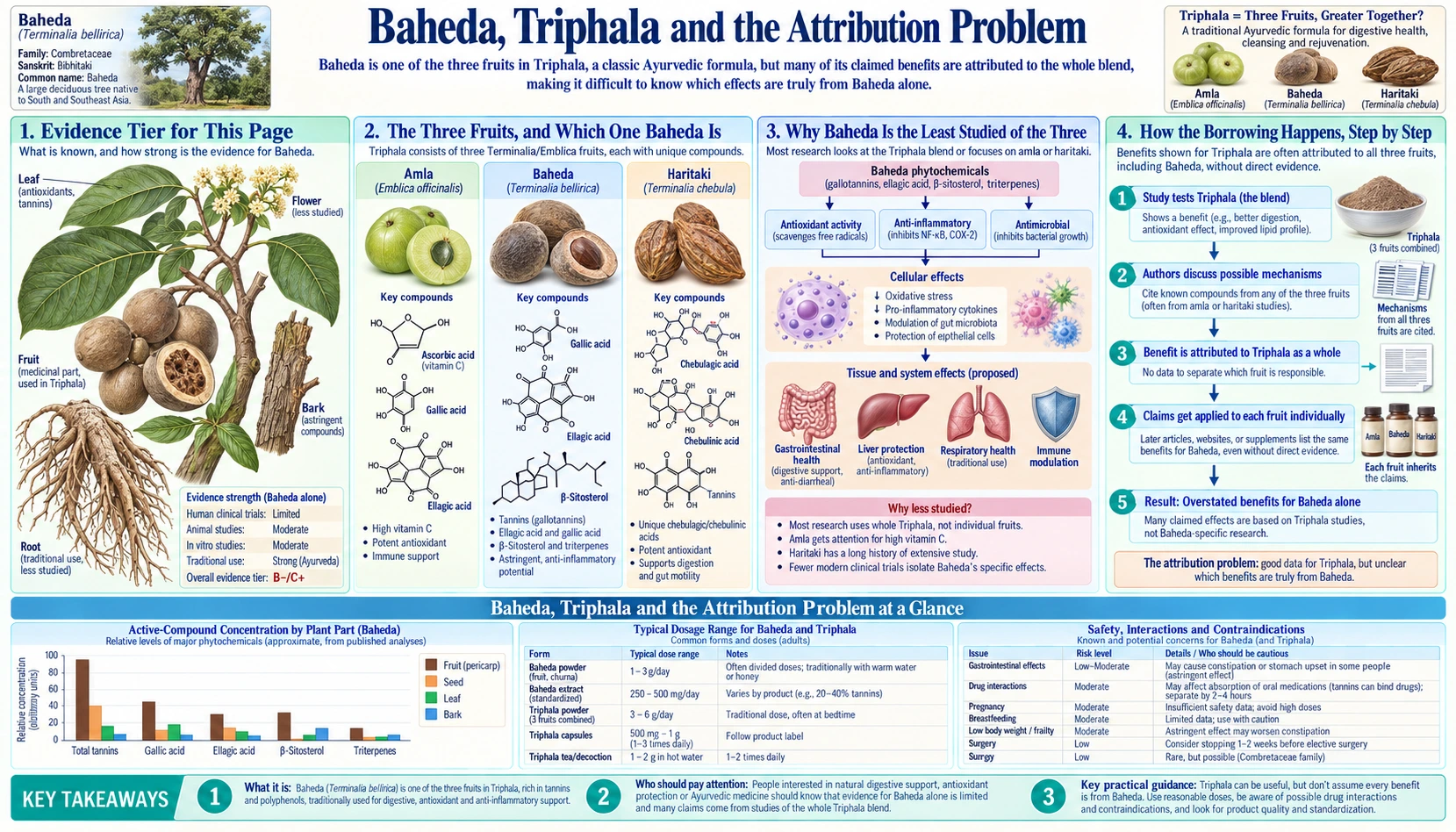 Triphala and the Attribution Problem — scientific infographic poster