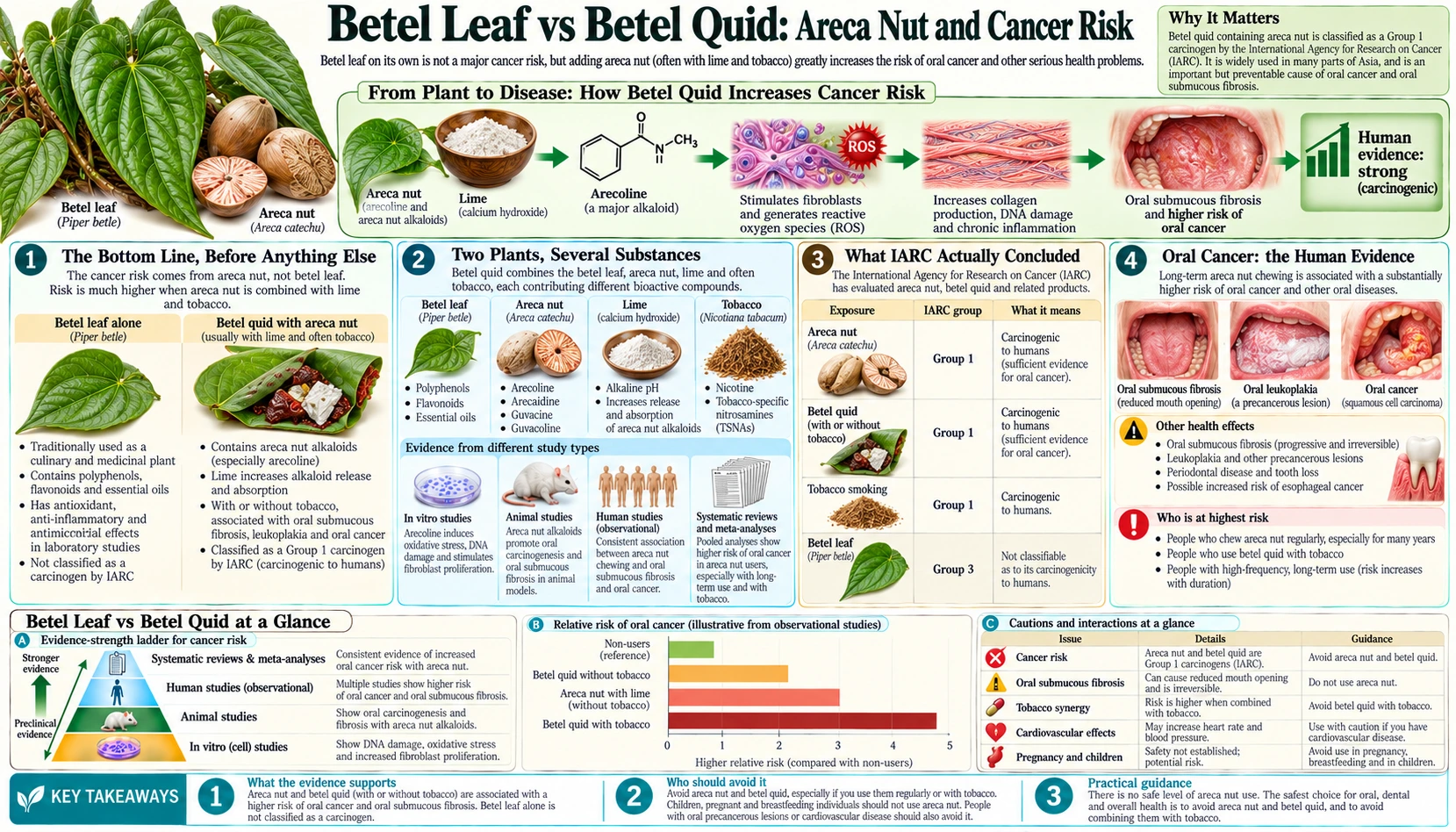 Betel Quid Areca Nut and Cancer Risk — scientific infographic poster