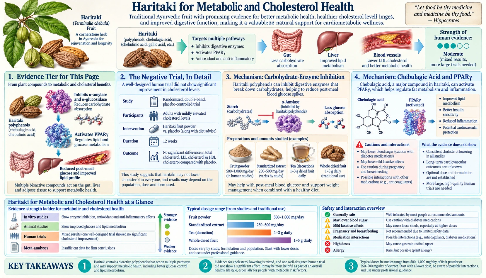 Metabolic and Cholesterol — scientific infographic poster
