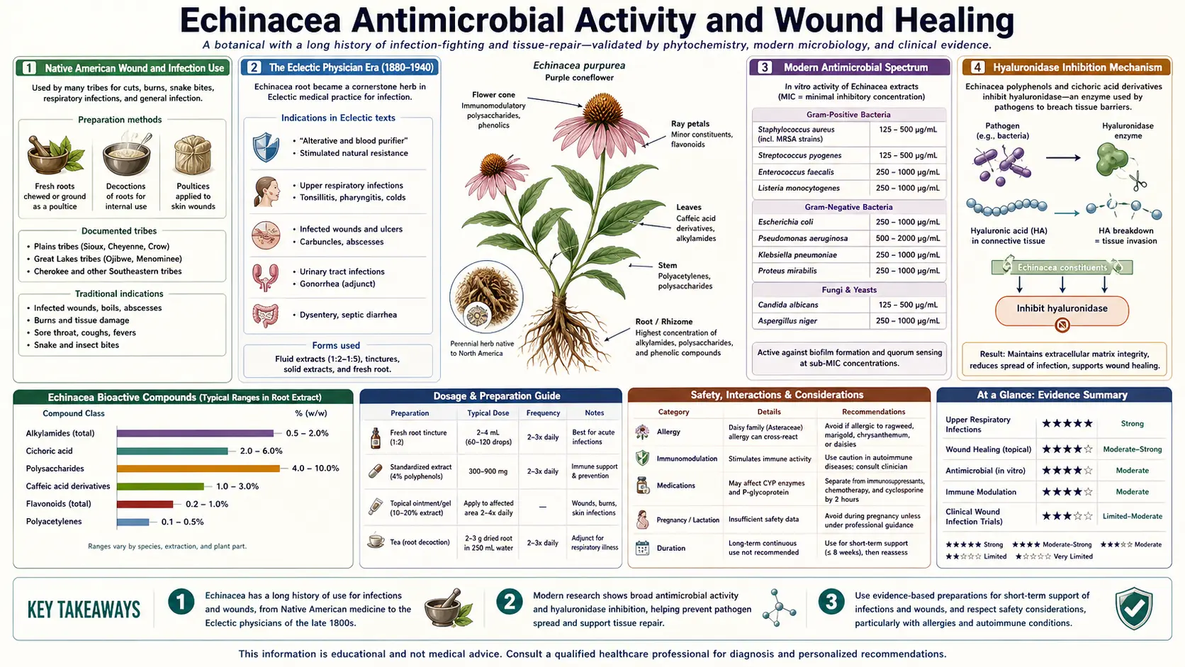 Antimicrobial and Wound Healing — scientific infographic poster