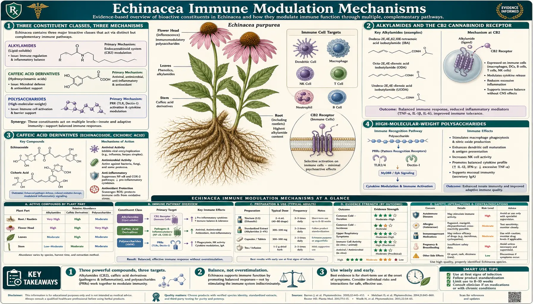 Immune Modulation — scientific infographic poster