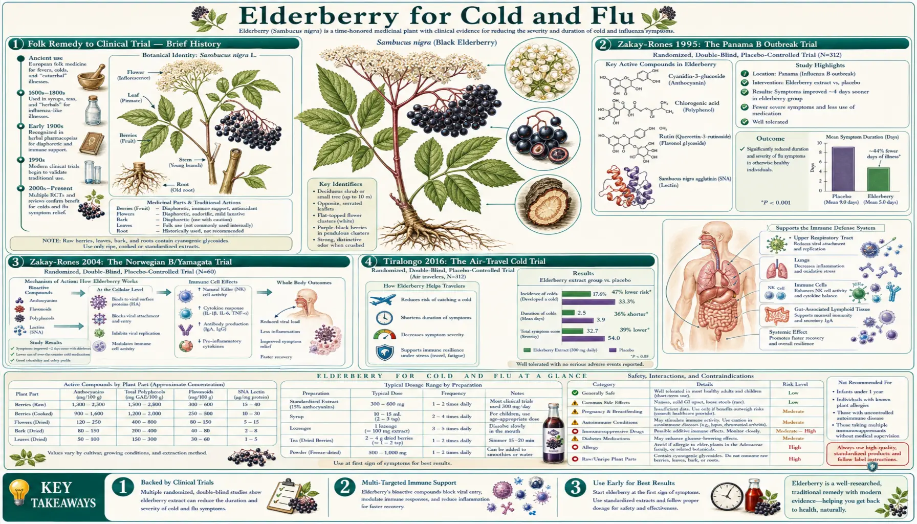 Cold and Flu — scientific infographic poster