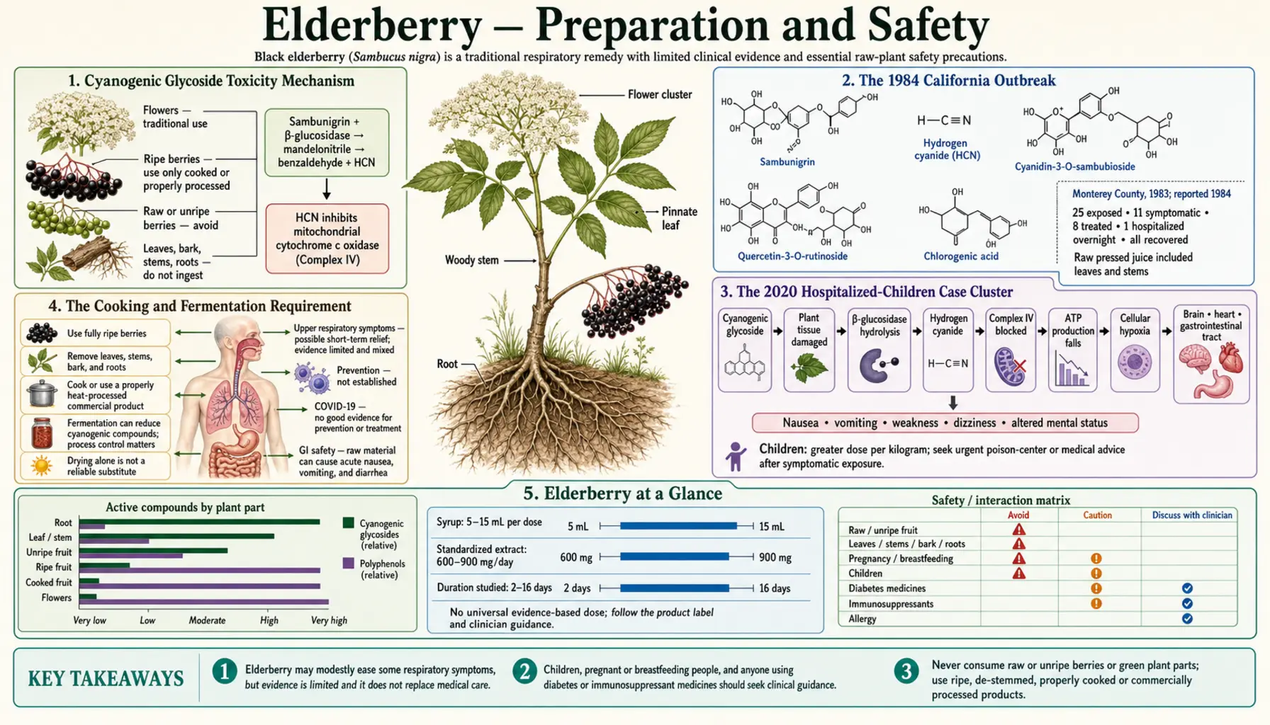 Preparation and Safety — scientific infographic poster