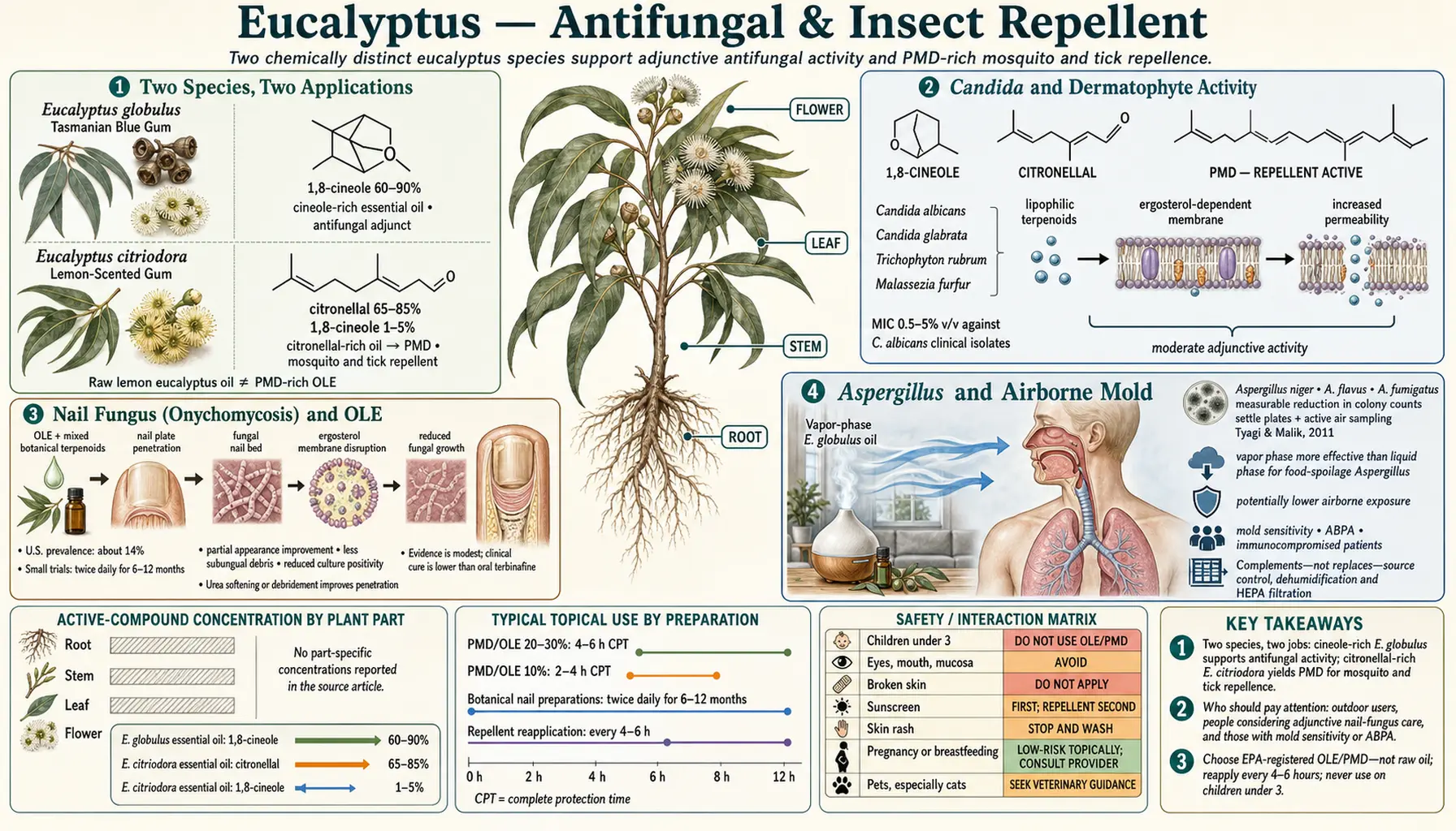 Antifungal and Insect Repellent — scientific infographic poster