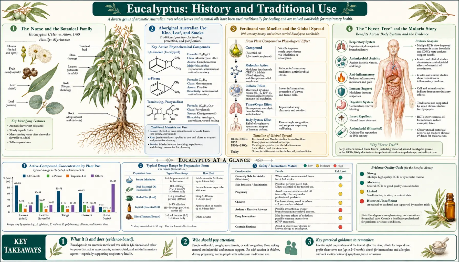 History — scientific infographic poster