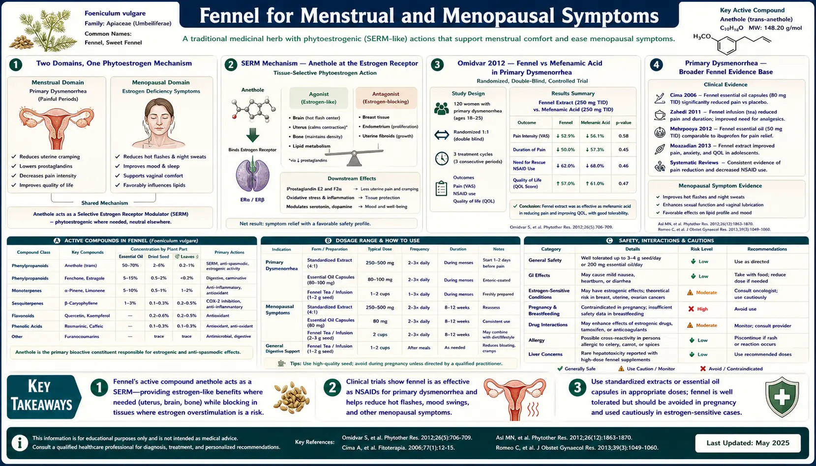 Menstrual and Menopausal — scientific infographic poster