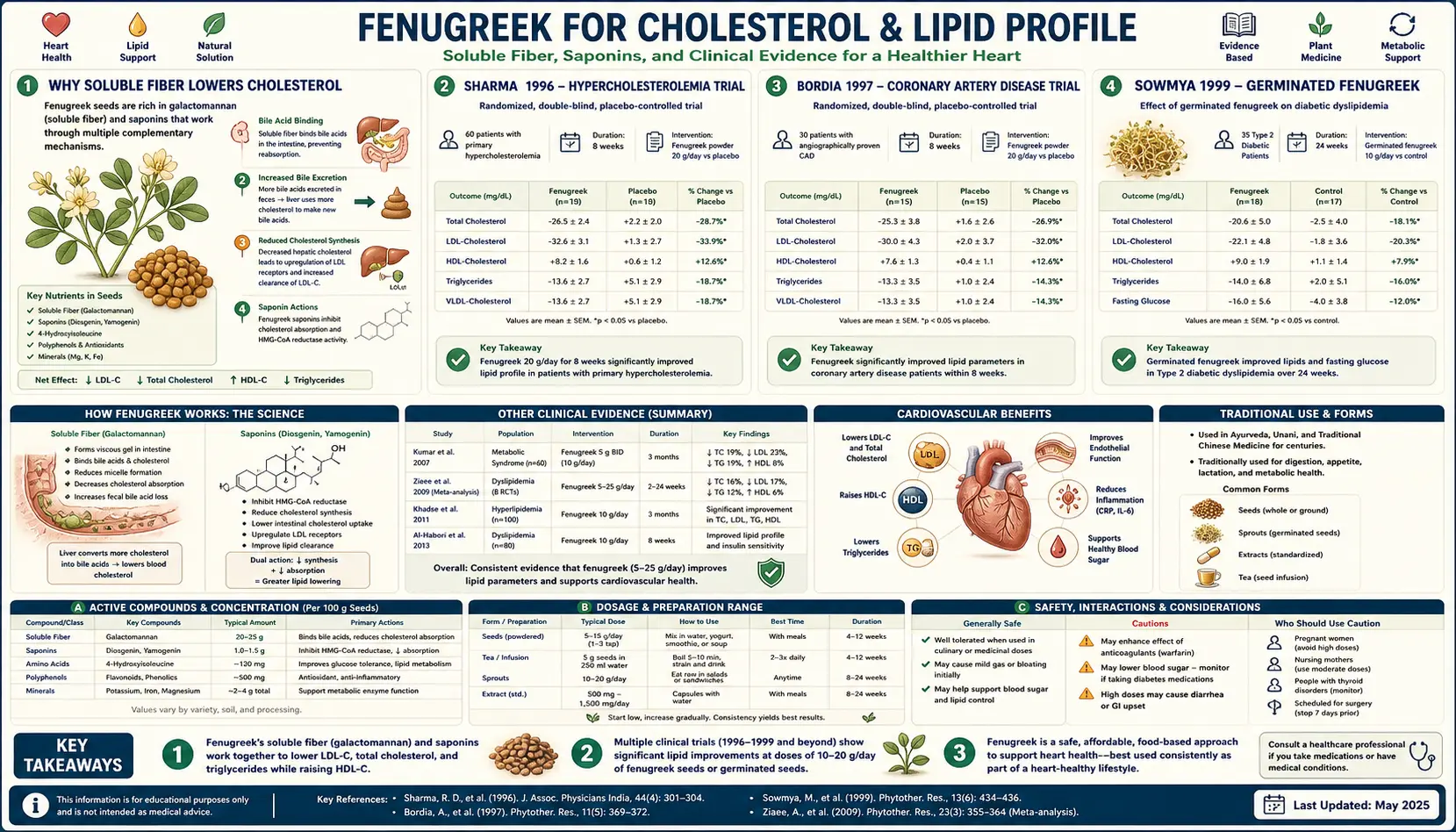 Cholesterol — scientific infographic poster